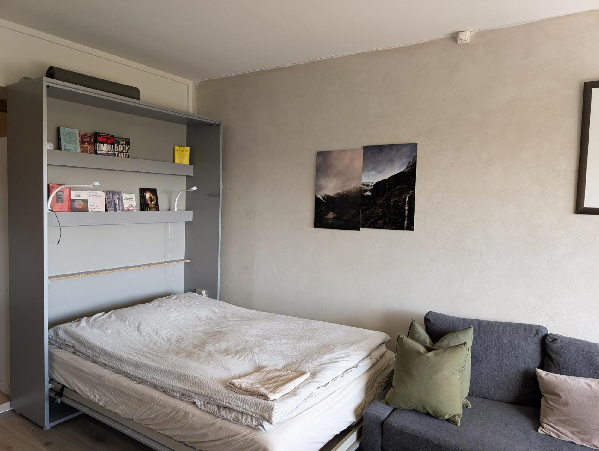 אוסלו Spacious And Cozy Study Apartment With Balcony מראה חיצוני תמונה