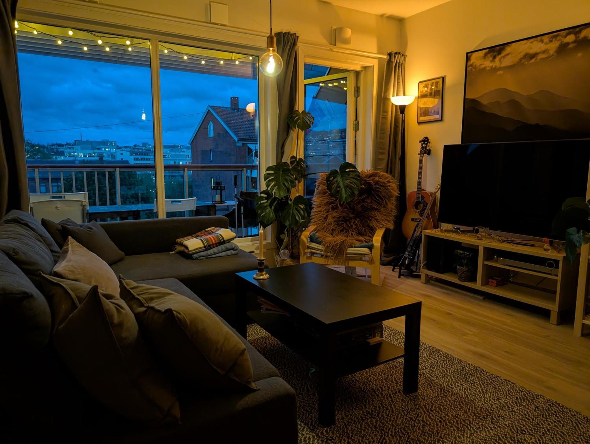 אוסלו Spacious And Cozy Study Apartment With Balcony מראה חיצוני תמונה